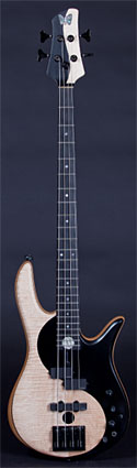 Fodera Yin Yang Standard Bass