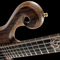 Xylem 5-String Black Limba Bass