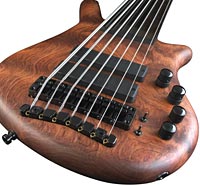 Jeroen Paul Thesseling's Warwick Thumb NT 7 Fretless Bass