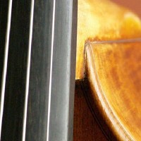 Bass Strings: Tips for Finding the Right Sound