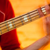 Getting to Know Your Bass: All About the Neck