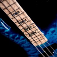 Bass of the Week: Spector NS-2