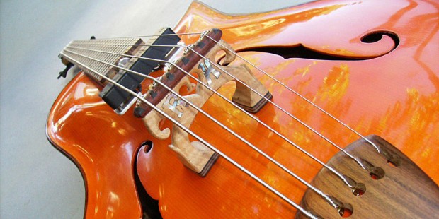 KB Guitars Robert Hurst Acoustic Bass - closeup