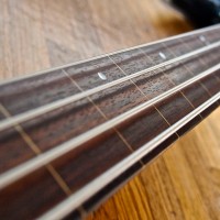 Lines on a Fretless Bass: Is it Cheating?