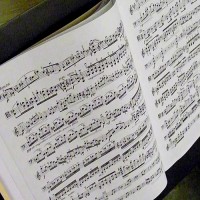 Sight Reading for Auditions: Tips for Bass Players