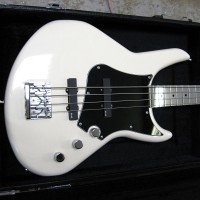 Bass of the Week: Electrical Guitar Company Series One Bass