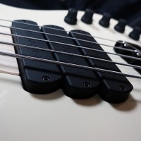 Dingwall Guitars Debuts Alberto Rigoni AR5 Signature Bass Model