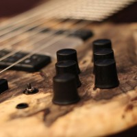 Bass of the Week: Erizias Basses 6-String Singlecut