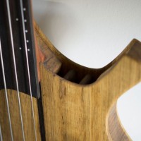 Bass of the Week: CG Lutherie Sequel 5-String Hollow Body Fretless