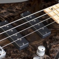Warwick Unveils 2014 Limited Edition Fortress Bass