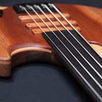 Bass of the Week: Oliver Lang Instruments Limes “Erik”