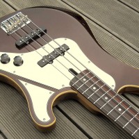 Bass of the Week: Paul Belgrado Stringed Instruments Custom AG #1