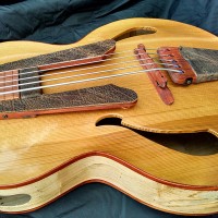 Bass of the Week: Whitt Guitars 5-String Fretless Archtop Acoustic Bass