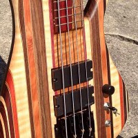 Bass of the Week: Beardly Customs Rainbow Bass