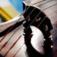 Five Things to Remember to When Moving from Electric to Upright Bass