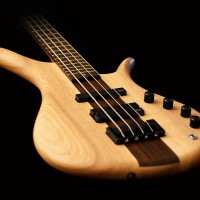 Eve Guitars Announces IONA Bass