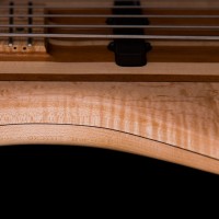 Bass of the Week: Naked Bass Hitchhiker 5-String