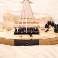 Gear Review: Accuracy Basses Matisse Deluxe 5-String