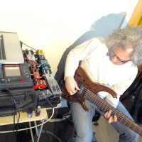 Steve Lawson: Looping Improv