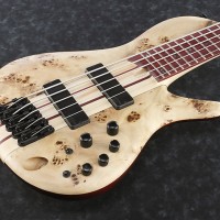 Ibanez Introduces SR Cerro Singlecut Bass