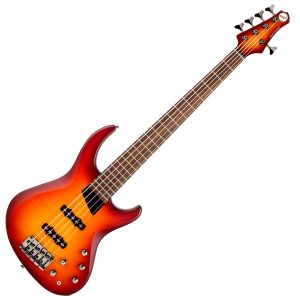 MTD Kingston Saratoga Deluxe Bass