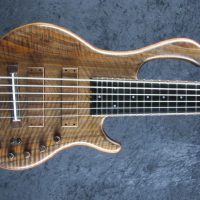 LedBelli Bass Guitars Unveils Majestic Model