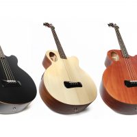 Spector Introduces Timbre Acoustic Bass Guitar