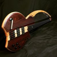 Bass of the Week: Barton Basses 11-String Fretless Harpbass