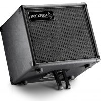 Trickfish Amplification Announces SM110 “Perch” Bass Cabinet