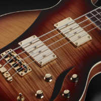 Warwick Launches Leland Sklar Signature Bass