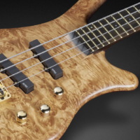 Warwick Unveils 2017 Limited Edition Thumb NT Models