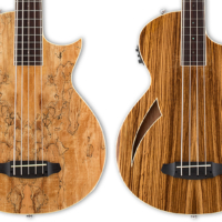 ESP Adds Fretless and 5-String Basses to LTD Thinline Series