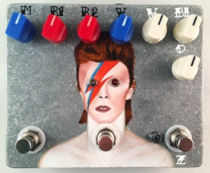 Fuzzrocious Custom Paint Bowie