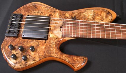 Skjold Damian Erskine Signature Series Bass: Front