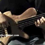 Fretted or fretless? Make it a convertible
