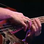 Stu Hamm Live Bass Solo: Love Thing/Moonlight Sonata/Country Music