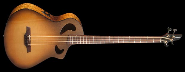 Veillette Cutaway Acoustic Bass
