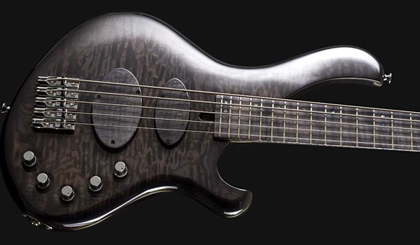 Bass of the Week: Maruszczyk Instruments Frog Omega Europe 5