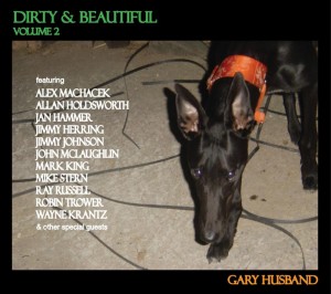Gary Husband: Dirty and Beautiful Volume 2