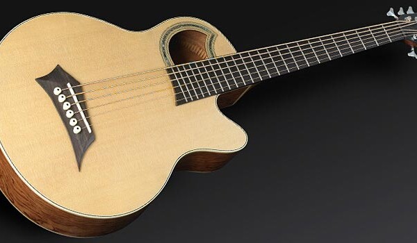 Warwick Introduces 6-String Rockbass Alien Deluxe Acoustic Bass Guitar