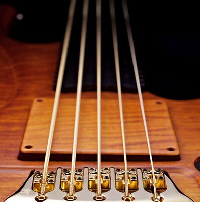 Weekly Top 10: New Bass Gear, The Best Bass Videos and the Best Bass How To’s
