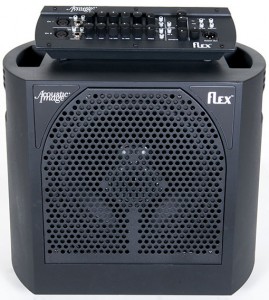 Acoustic Image Flex Series Preamp and Cabinet