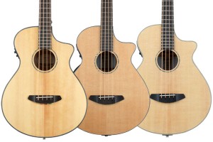 Breedlove Acoustic-Electric Bass Bodies