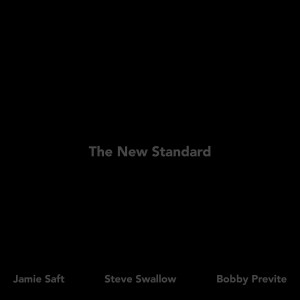Jamie Saft, Steve Swallow and Bobby Previte: The New Standard