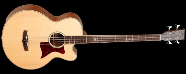 Tanglewood Guitars TW155-A Acoustic Bass Guitar