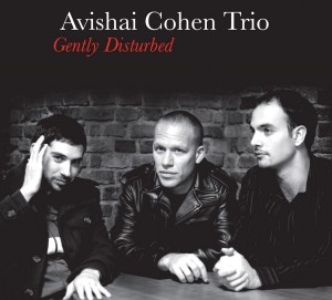 Avishai Cohen Trio: Gently Disturbed