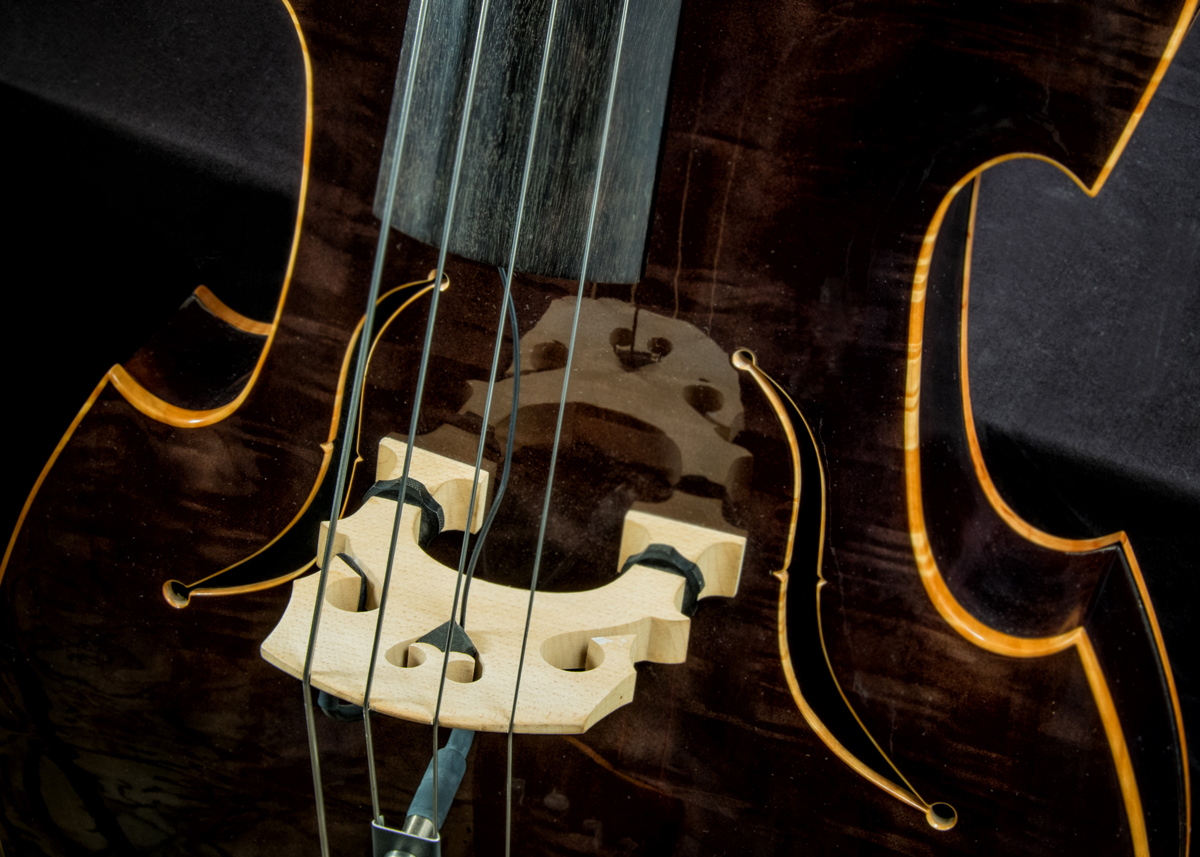 Bass of the Week: Anastasio Fasanaro Contrabasso – No Treble
