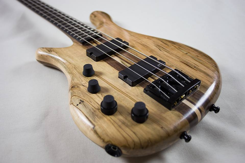 Bass of the Week RG Custom Basses Pathos No Treble