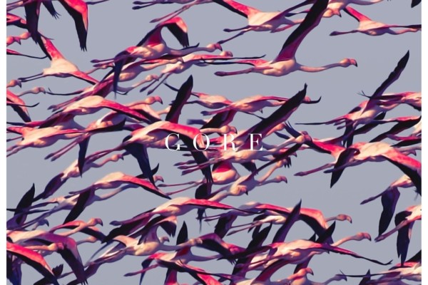 Deftones Return After Four Years With “Gore”