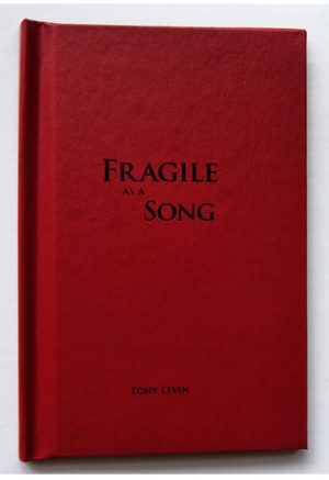 Tony Levin: Fragile as a Song